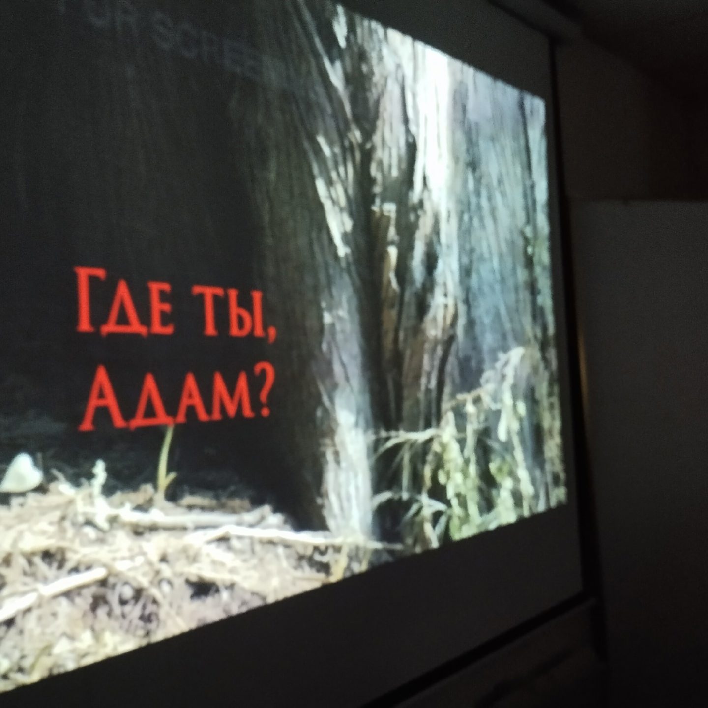 В богословском обществе «Феникс» состоялся просмотр фильма